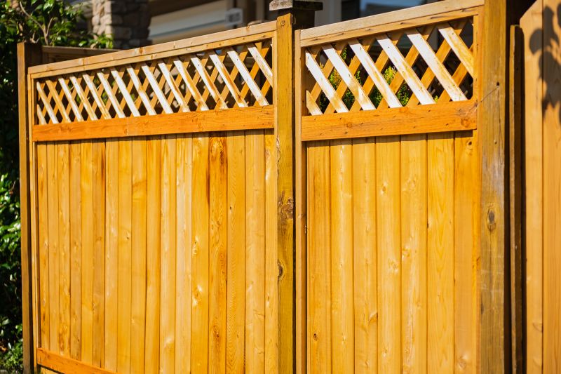 Summer Fence Projects